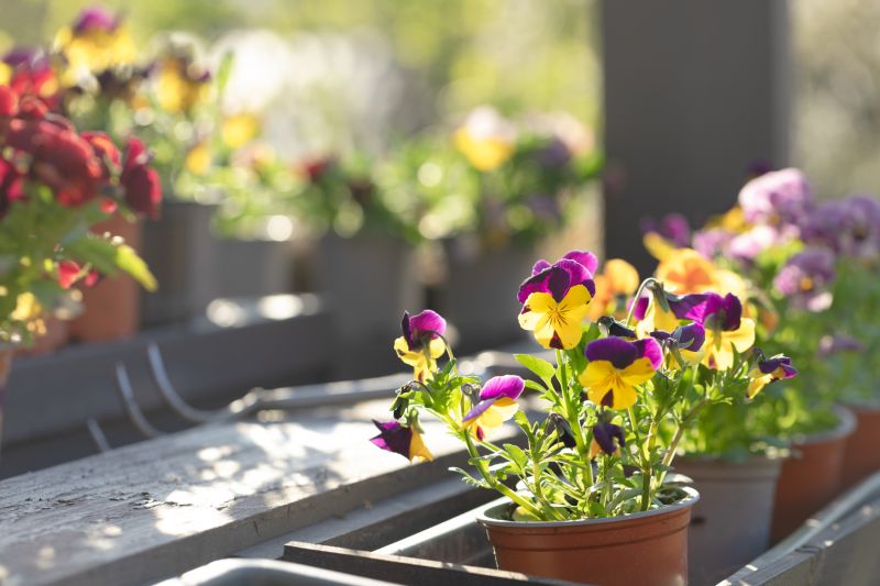 Perennials Planting in Honolulu, HI