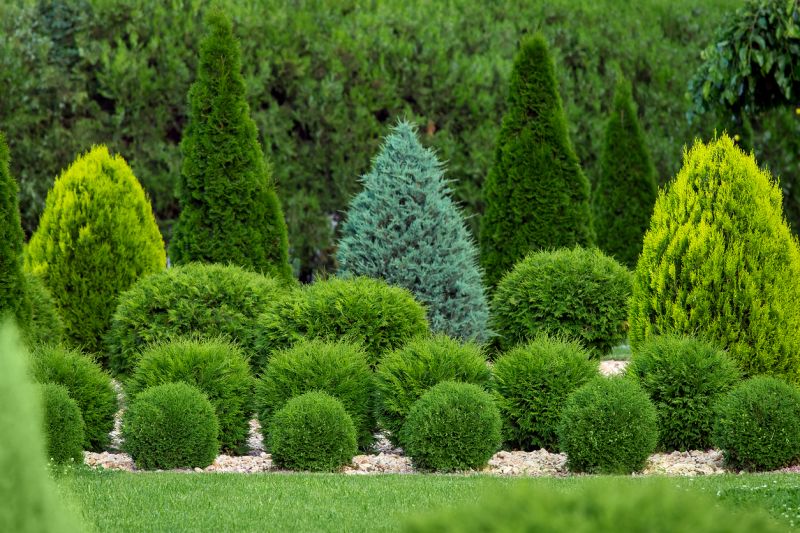 Shrub Landscaping in Honolulu, HI